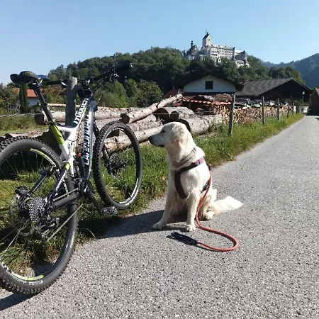 Διαμέρισμα Ciao-aschau Lexa *